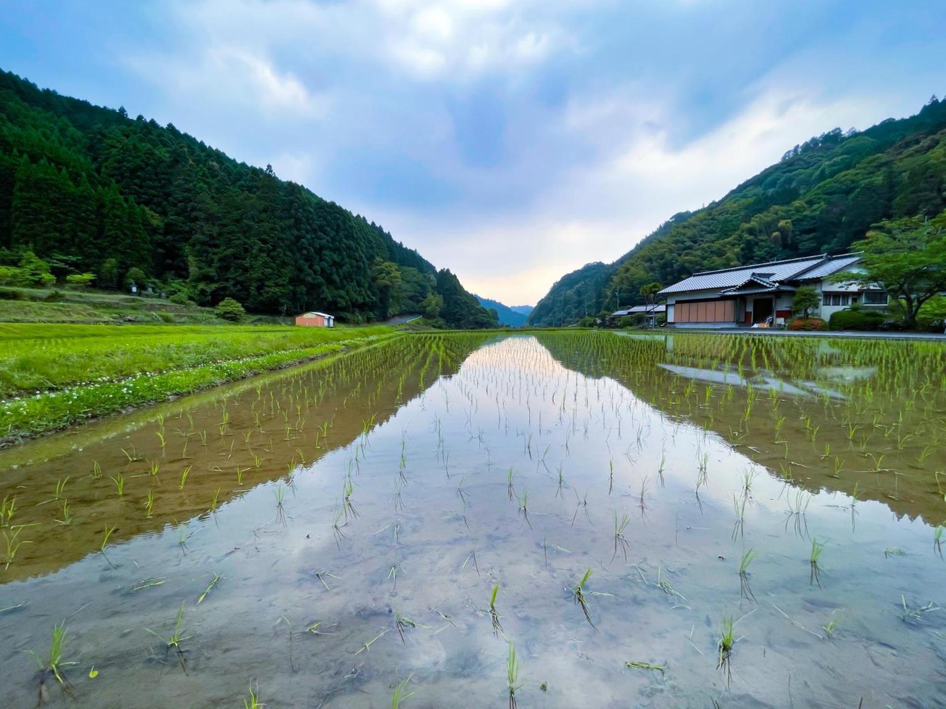 Villa Ukiha Kojio No Akari Exterior foto